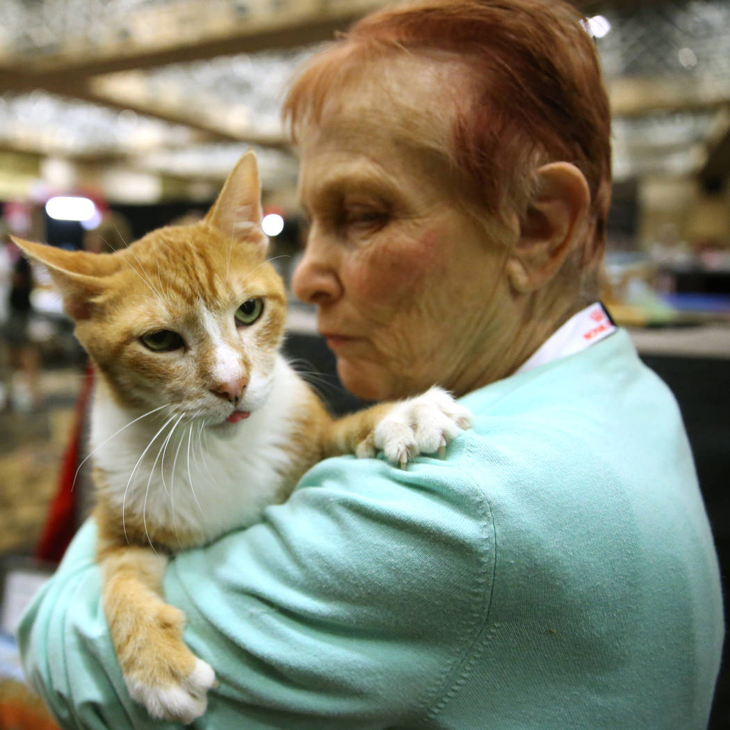 Candy Kalman of San Diego with her cat Duke, a 16-year-old household cat, one of the oldest cat ...