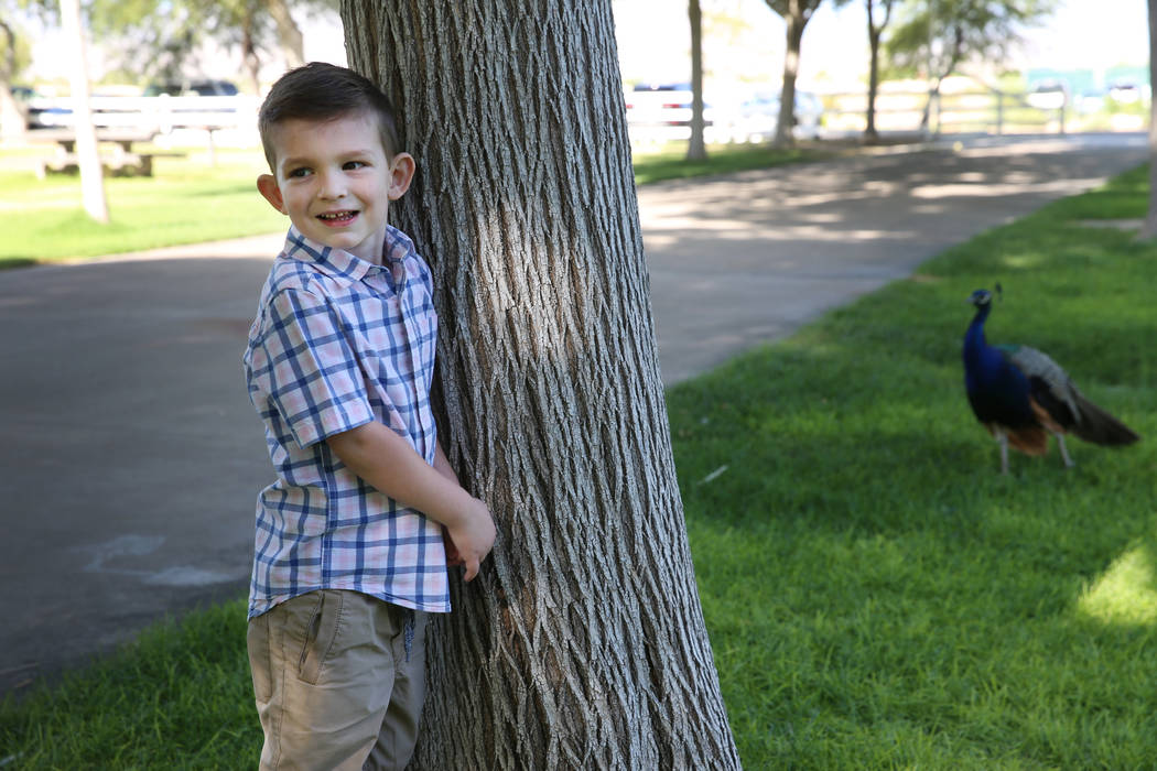 Logan Bayley, 4, at Floyd Lamb Park in Las Vegas, Saturday, Aug. 24, 2019. Logan was born with ...