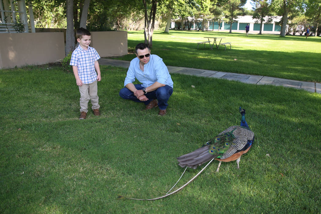 Logan Bayley, 4, with her father Steve, at Floyd Lamb Park in Las Vegas, Saturday, Aug. 24, 201 ...