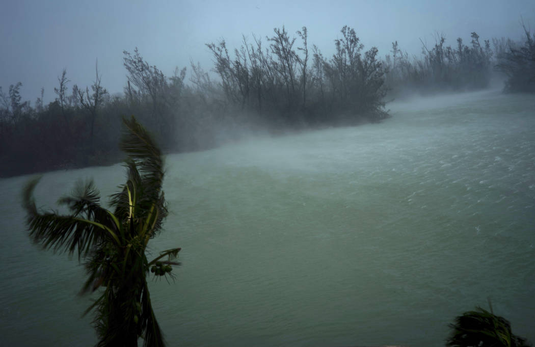 Strong winds from Hurricane Dorian blow the tops of trees and brush while whisking up water fro ...