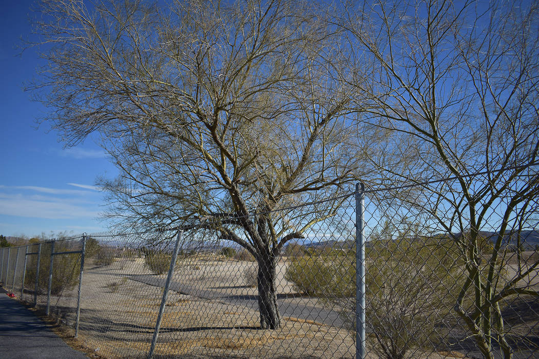 The metal fence that surrounds the perimeter of Black Mountain Golf Course and Country Club bet ...