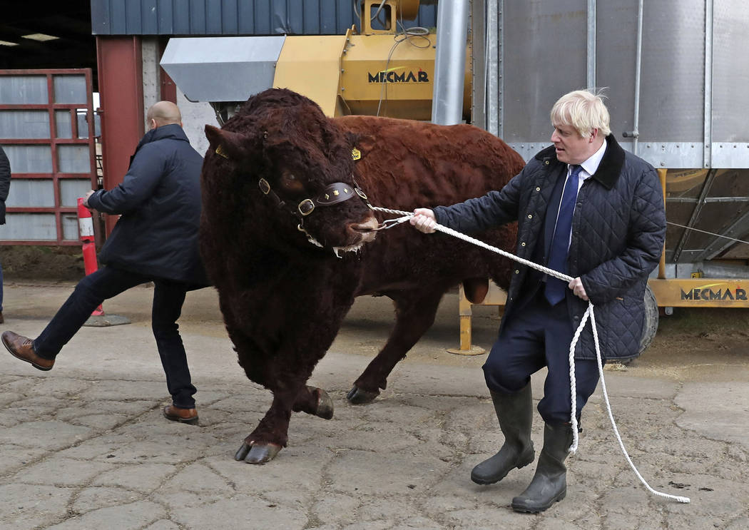 A bull bumps into a plain clothes police officer, left, while being walked by Britain's Prime M ...