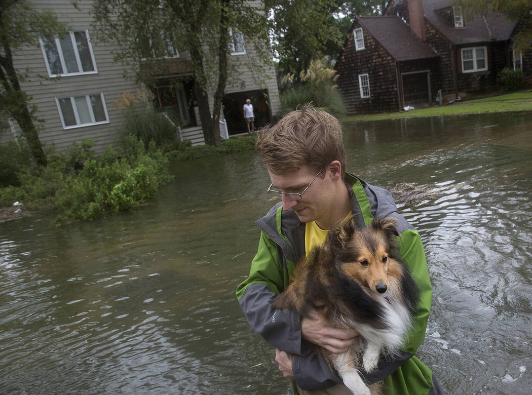Fred Lenihan carries Ollie, a six-year-old Sheltie, through floodwaters in Larchmont after Hurr ...