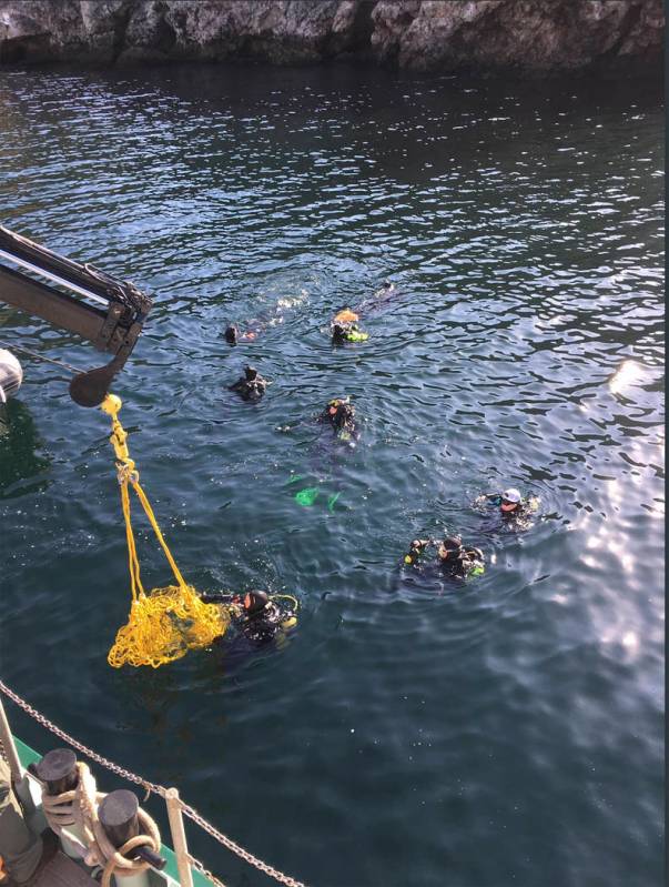 Divers and support crews from many agencies working the scene of the dive boat fire off Santa C ...