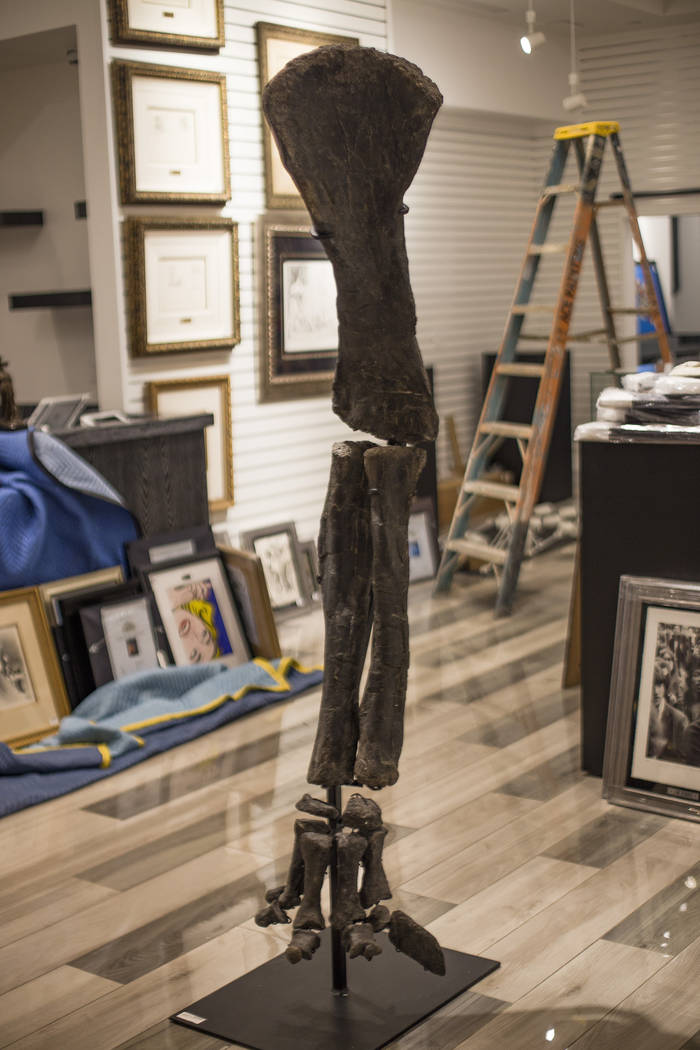 A Camarasaurus leg at the new Rick Harrison Collection retail outlet opening soon in the Grand ...