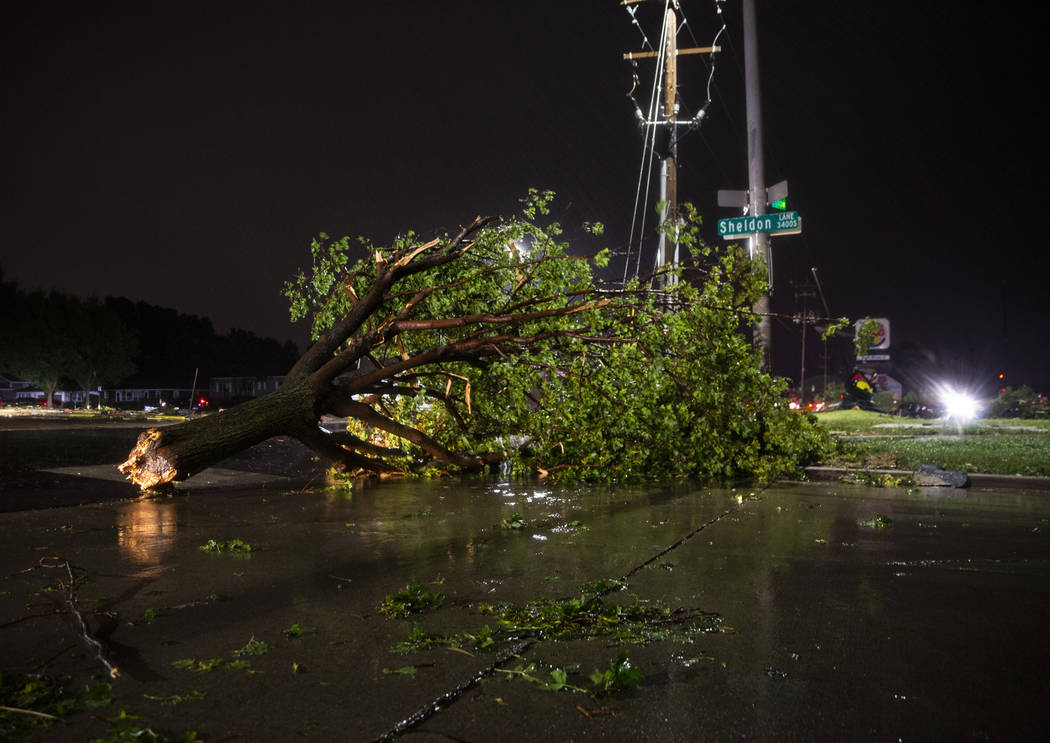 In this Tuesday, Sept. 10, 2019 photo, trees and debris lay on a sidewalk following severe weat ...