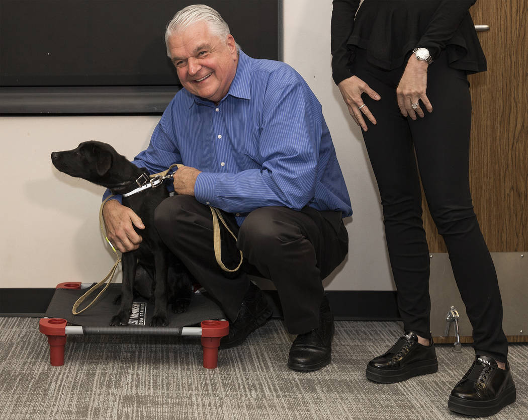 Blaze, a 5-month-old black lab and golden retriever mix, meets with Nevada Gov. Steve Sisolak a ...