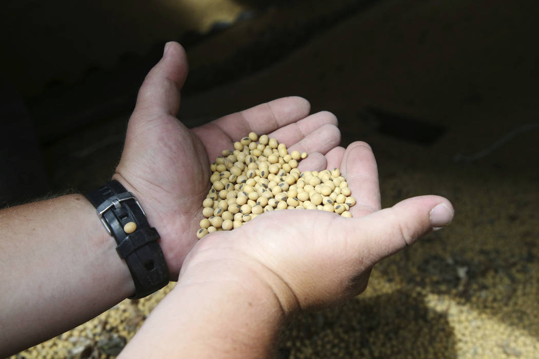 In a July 18, 2018, photo, soybean farmer Michael Petefish holds soybeans from last season's cr ...