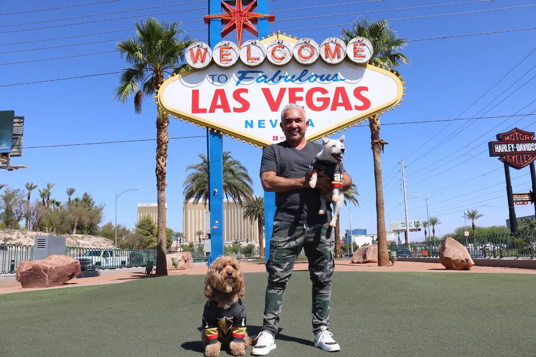 Cesar Millan is shown with Vegas Golden Knight canine icon Bark-Andre Furry and his own Sir Win ...