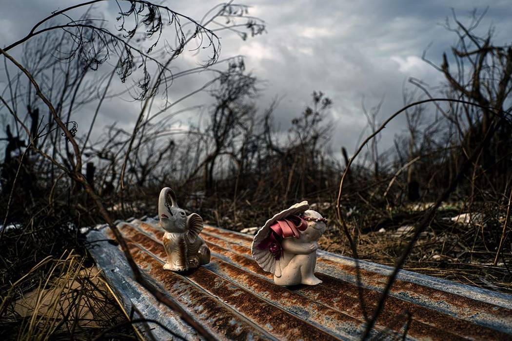 Porcelain figures rest among the remains of a shattered house at the aftermath of Hurricane Dor ...