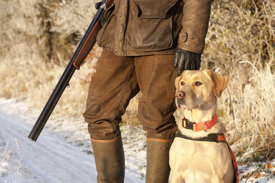 A Utah man who has been in a wheelchair for more than three decades has created a pheasant hunt ...