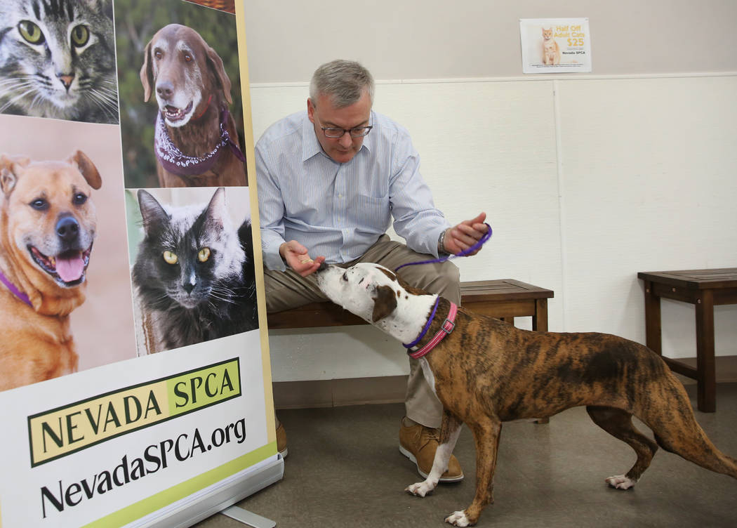 Thomas Moran, president of the board of the Nevada Society for the Prevention of Cruelty to Ani ...