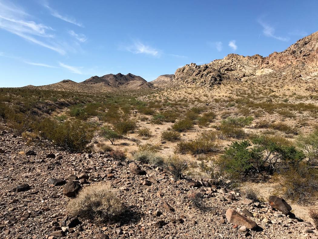 Gambel’s quail spend most of the time on the ground and prefer country that provides a mix of ...