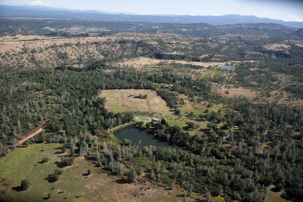 In this photo taken June 7, 2019, most homes in Shingletown, Calif., are barely visible through ...