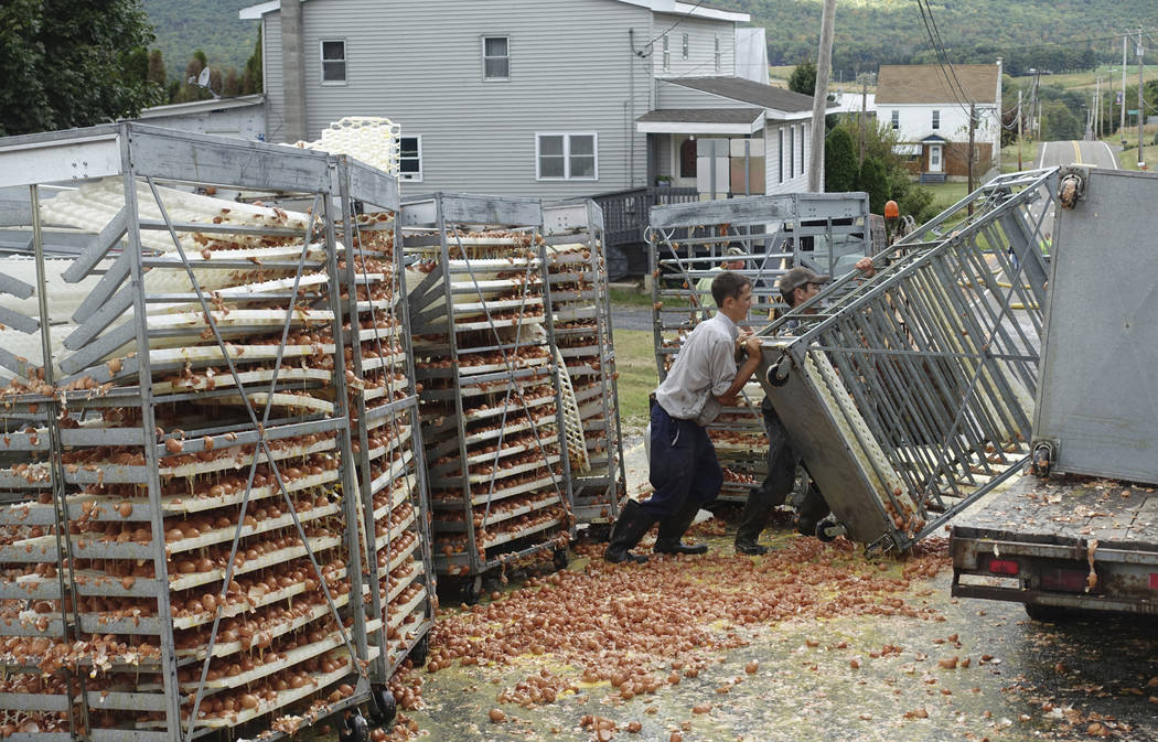 Crews work to clean tens of thousands of eggs that fell from a truck in Hegins Township, Pa., T ...