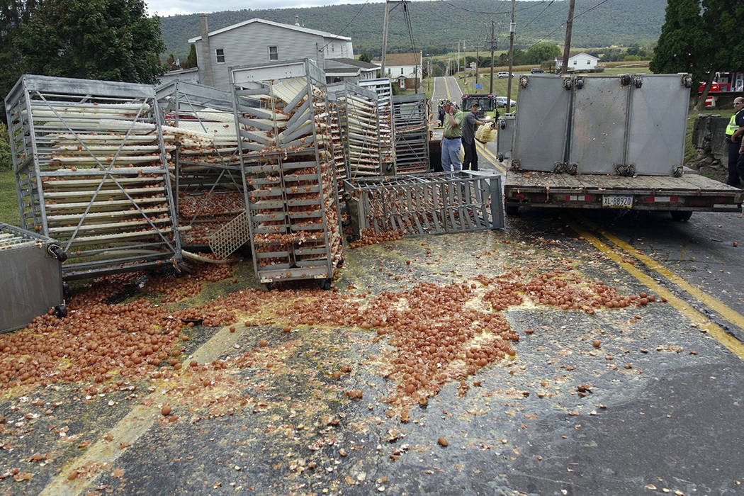 Smashed eggs clutter Route 125 in Hegins Township, Pa., Tuesday morning, Sept. 24, 2019, after ...