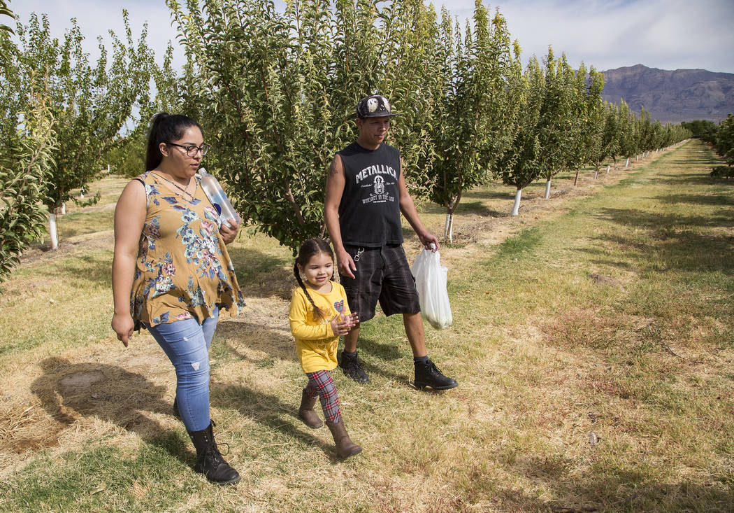 Gennive Banda and her husband, Jerry Reyes, walk with their daughter, Emma Reyes, 4, to look fo ...