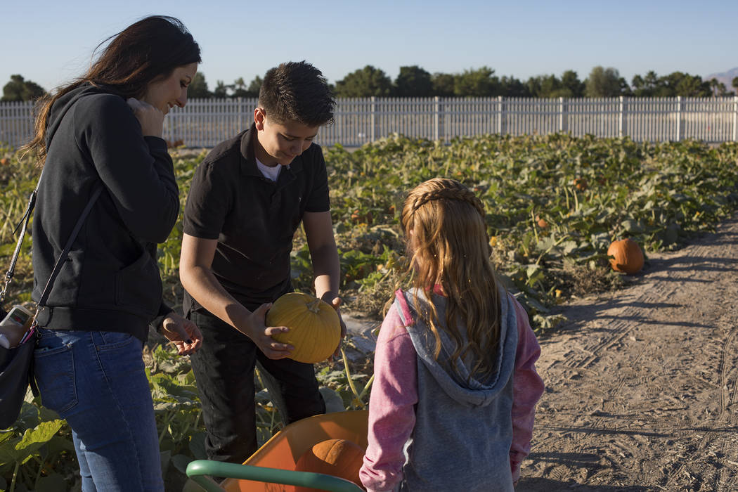 Melissa Swasey, left, watches her son, Luke Swasey, 11, and her daughter, Ella Swasey, 9, pick ...