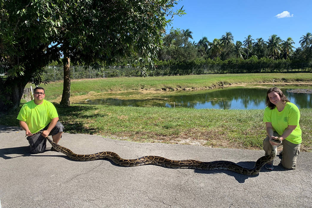 (Florida Fish and Wildlife Conservation Commission via Facebook)