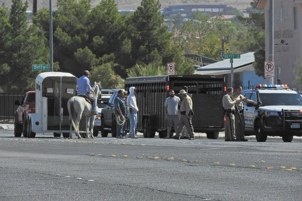 Police attempt to corral an escaped rodeo bull Sunday, Oct. 6, 2019, near Owens Avenue and Bett ...