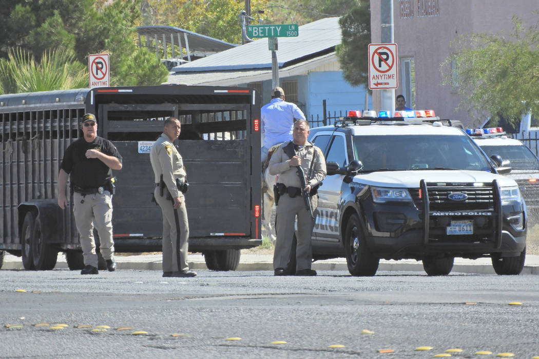 Police attempt to corral an escaped rodeo bull Sunday, Oct. 6, 2019, near Owens Avenue and Bett ...