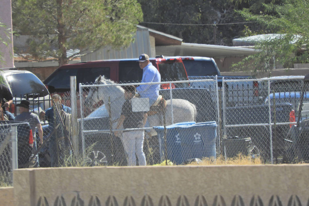 Police attempt to corral an escaped rodeo bull Sunday, Oct. 6, 2019, near Owens Avenue and Bett ...