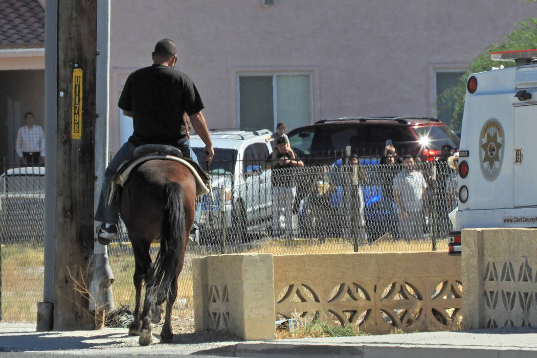 A bull is secured Sunday, Oct. 6, 2019, near Owens Avenue and Betty Lane in Las Vegas. (Mat Lus ...