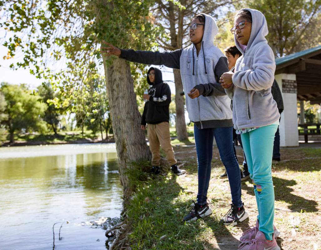 Linda Coriz, 12, center, throws pieces of bread to geese next to her sister Nevaeh Perea, 9, ri ...