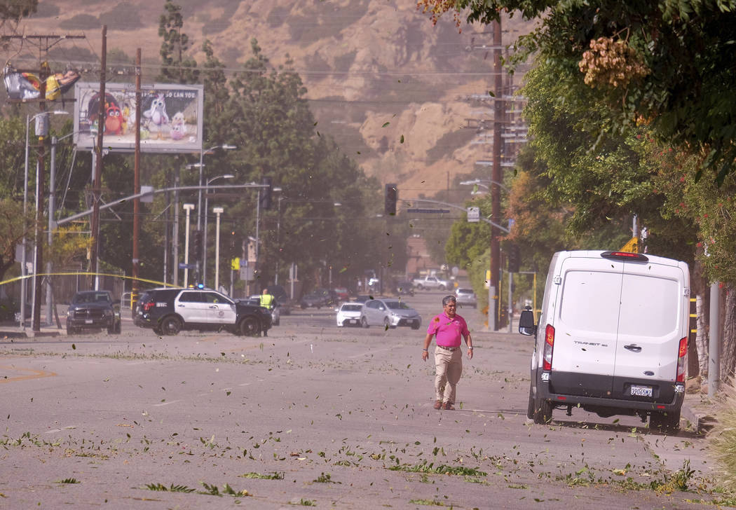 Strong Santa Ana winds in Chatsworth, Calif., blew across power lines causing them to arc and t ...