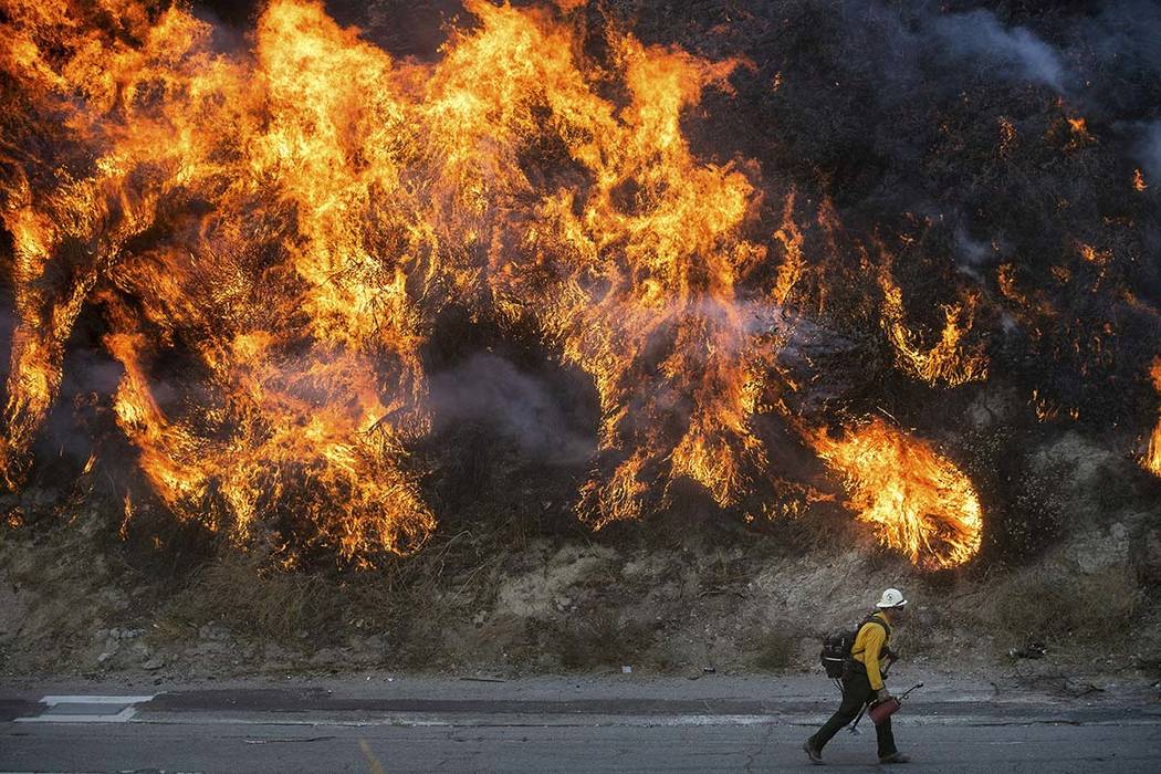 Flames from a backfire, lit by firefighters to stop the Saddleridge Fire from spreading, burn a ...