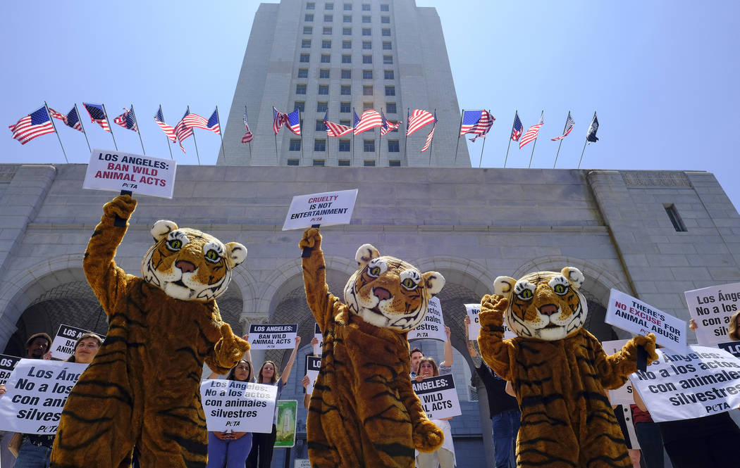 FILE - In this July 7, 2016, file photo, led by three costumed tigers, dozens of animal rights ...