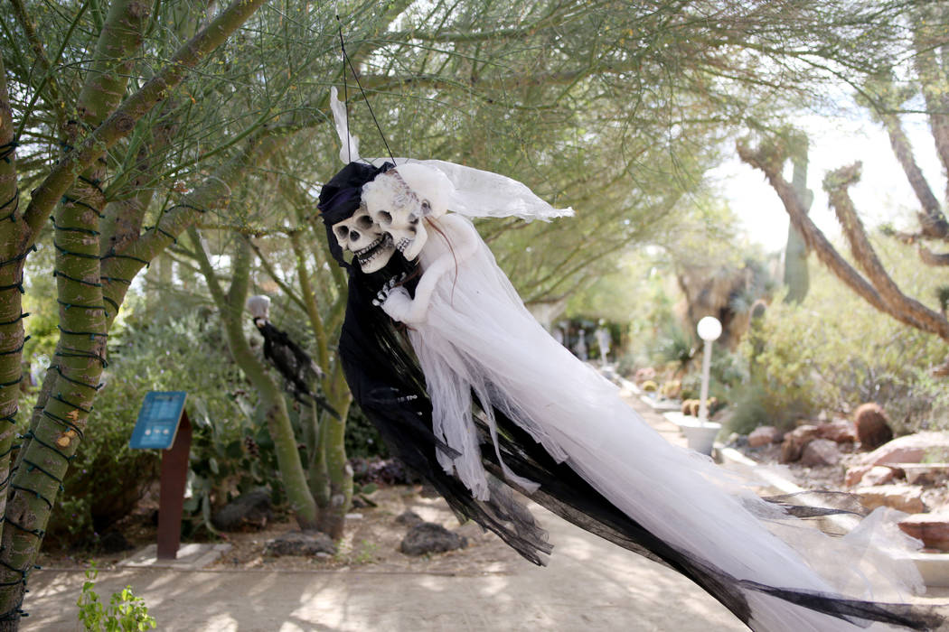 Decorations for the family friendly Haunted Harvest at the Springs Preserve in Las Vegas on Thu ...