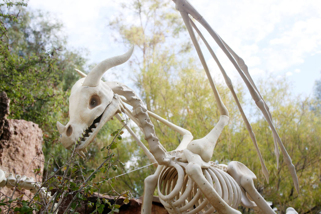 Decorations for the family friendly Haunted Harvest at the Springs Preserve in Las Vegas on Thu ...