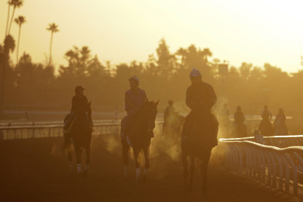 Exercise riders and horses walk along the track during morning workouts for the Breeders' Cup r ...