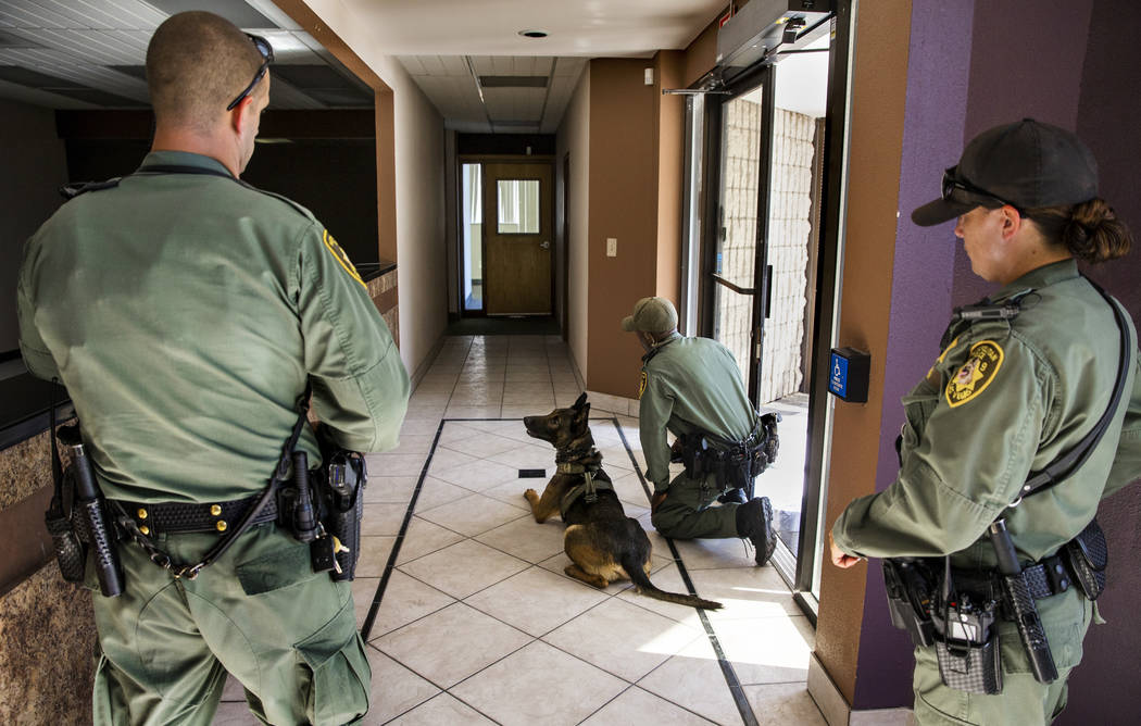 Metropolitan Police Department K-9 officer Remi Damole readies his dog Dasco to clear a buildin ...