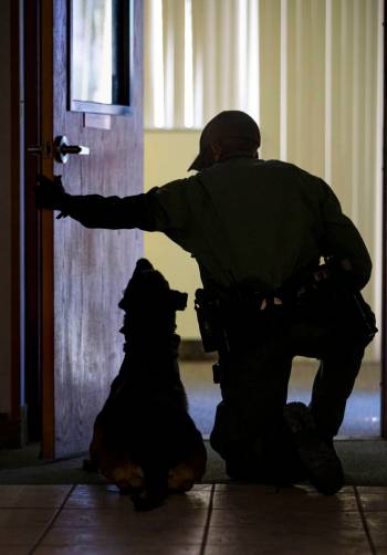 Las Vegas police K-9 officer Remi Damole readies his dog Dasco to clear a building during train ...