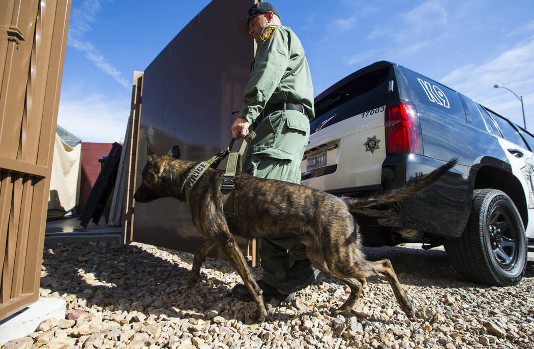 Las Vegas police K-9 officer Jason Dukes leads his patrol dog, Argos, to his kennel in Henderso ...