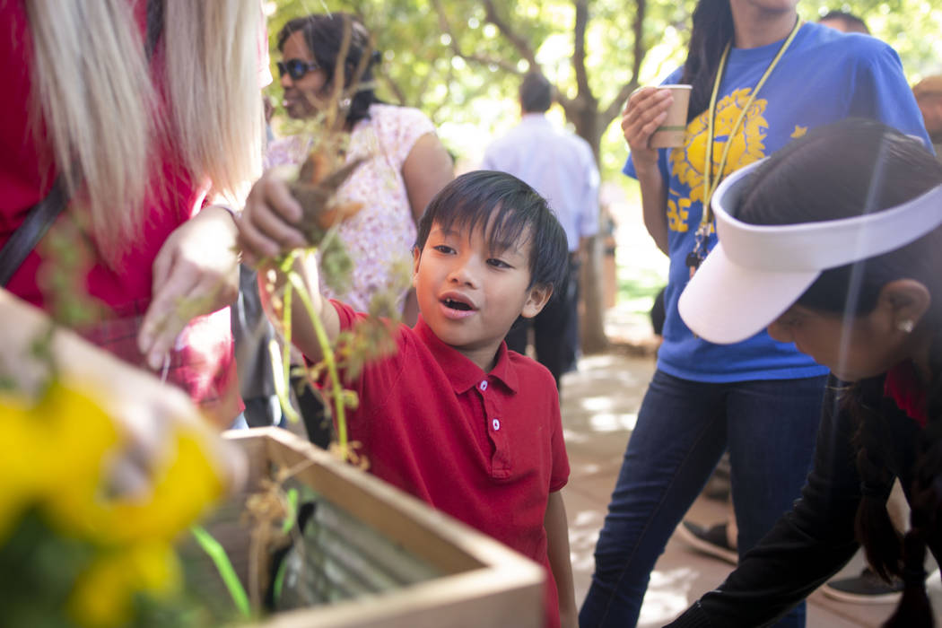 Rex Bell Elementary student Jael Cacuyog, 8, center, helps clean their garden club grown carrot ...