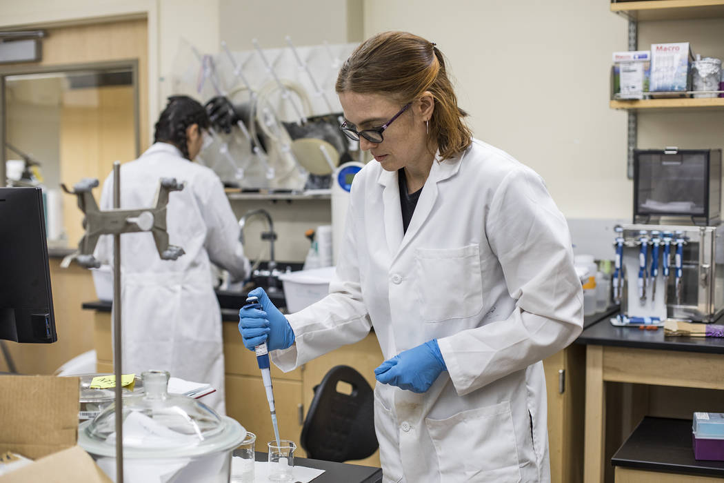 Dr. Libby Hausrath works in her lab at the University of Las Vegas in Las Vegas, Thursday, Oct. ...