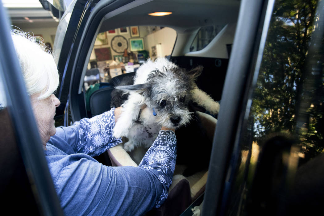 Sandy Beddow evacuates with her dog as a wildfire called the Kincade Fire burns nearby on Satur ...