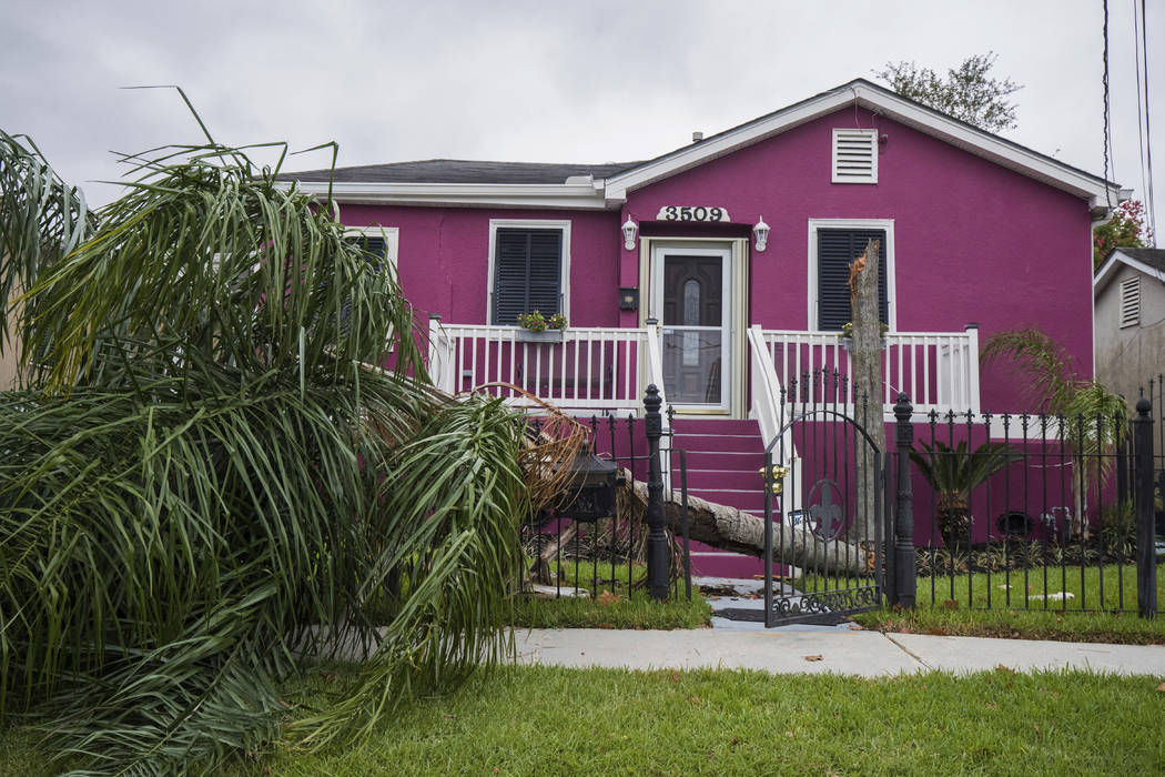 A palm tree takes out a fence of a home in the Leonidas neighborhood in New Orleans on Saturday ...