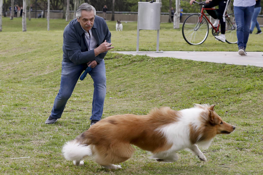 Presidential candidate Alberto Fernandez plays with his dog Dylan before voting in Buenos Aires ...