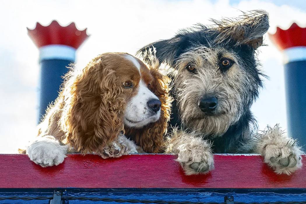 Lady (voiced by Tessa Thompson) and Tramp (Justin Theroux) in "Lady and the Tramp." (Disney Ent ...