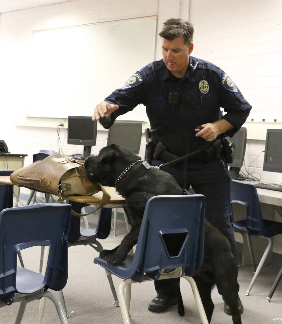 Clark County School District K-9 officer James Harris watches as his dog Ziggy locates hidden w ...