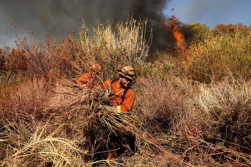 An inmate firefighter creates a fire break as the Maria Fire approaches in Santa Paula, Calif., ...