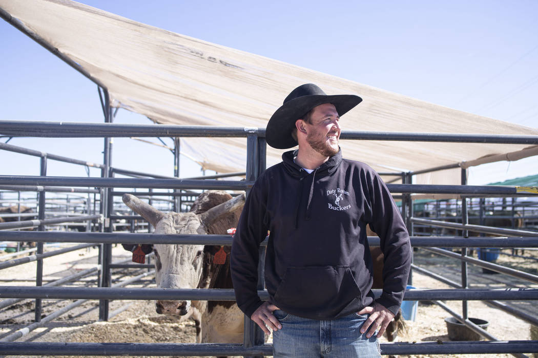 Professional Bull Riders pickup man Jared Groene discusses large bulls housed at South Point a ...