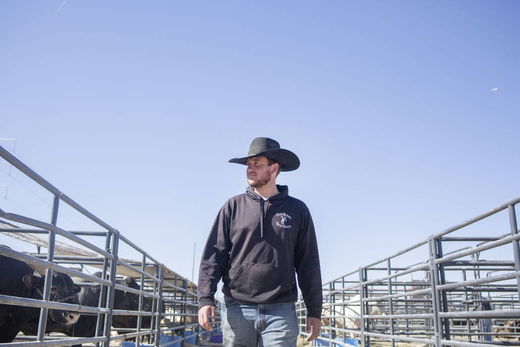 Professional Bull Riders pickup man Jared Groene gives a tour of where the large bulls are hou ...