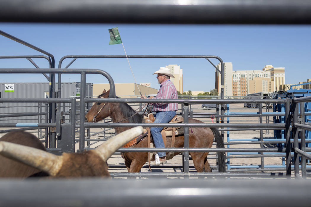 Horseback crew member Lane Hillman, Idaho, works with bulls housed at South Point arena in prep ...