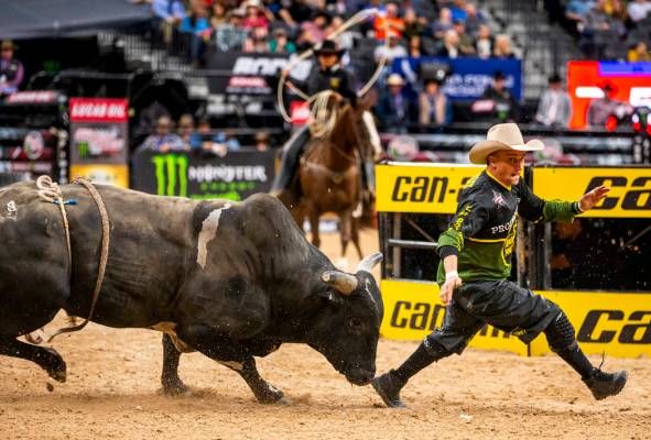 Bullfighter Frank runs to escape the horns of a bull during the PBR World Finals at T-Mobile Ar ...