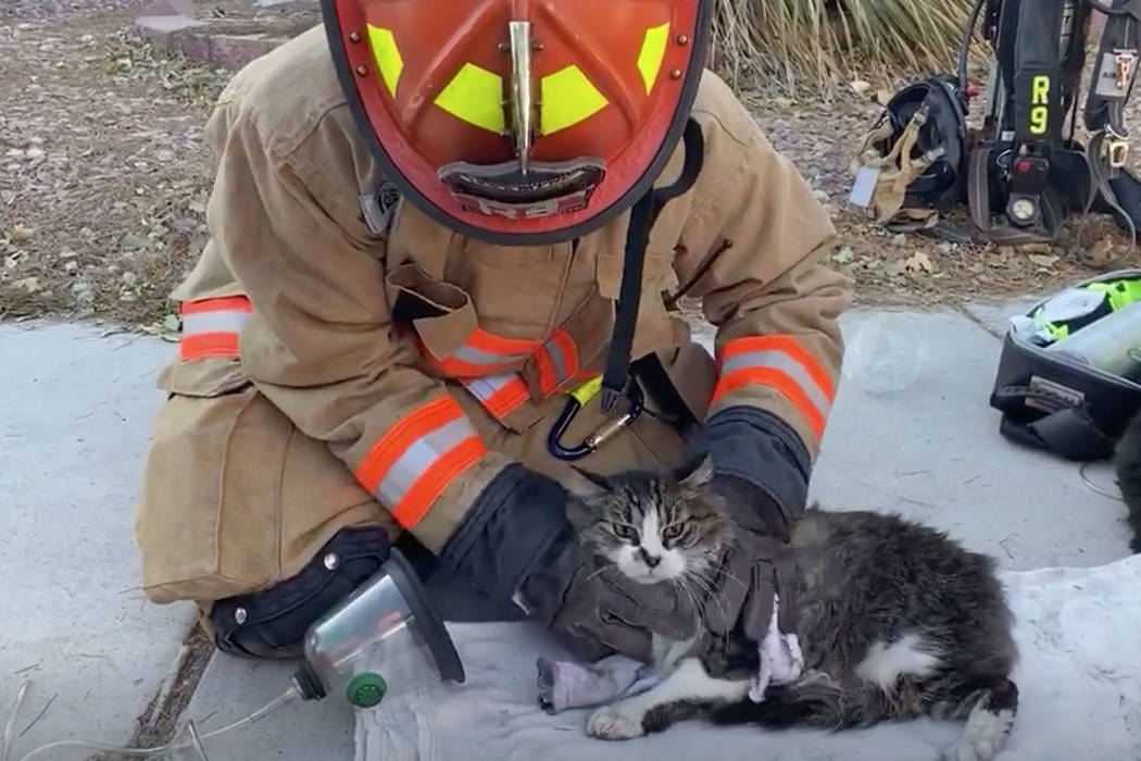 A Las Vegas firefighter gives oxygen to a cat rescued from a northwest Las Vegas house fire on ...
